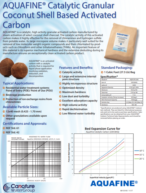 catalytic carbon