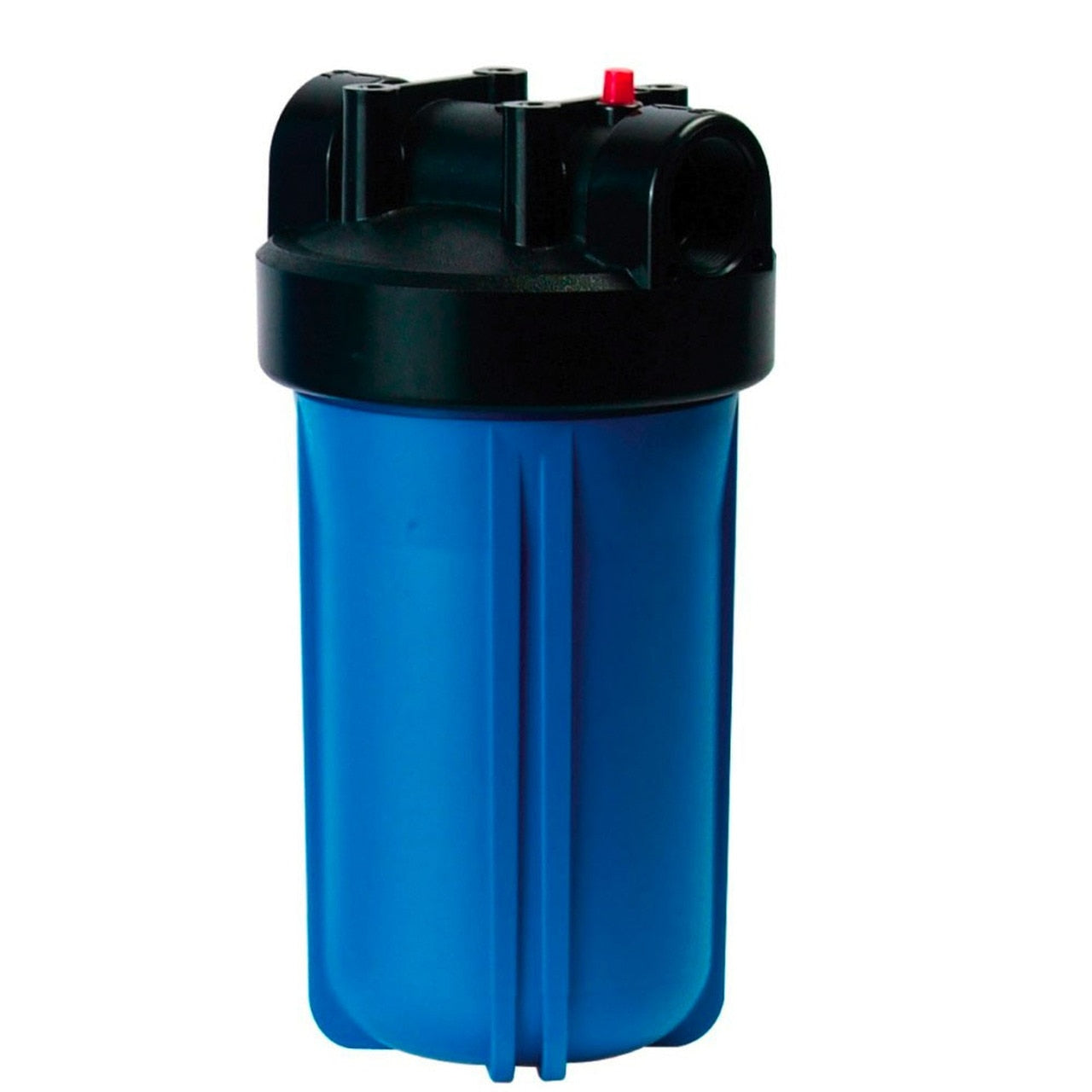 10 inch big blue housing