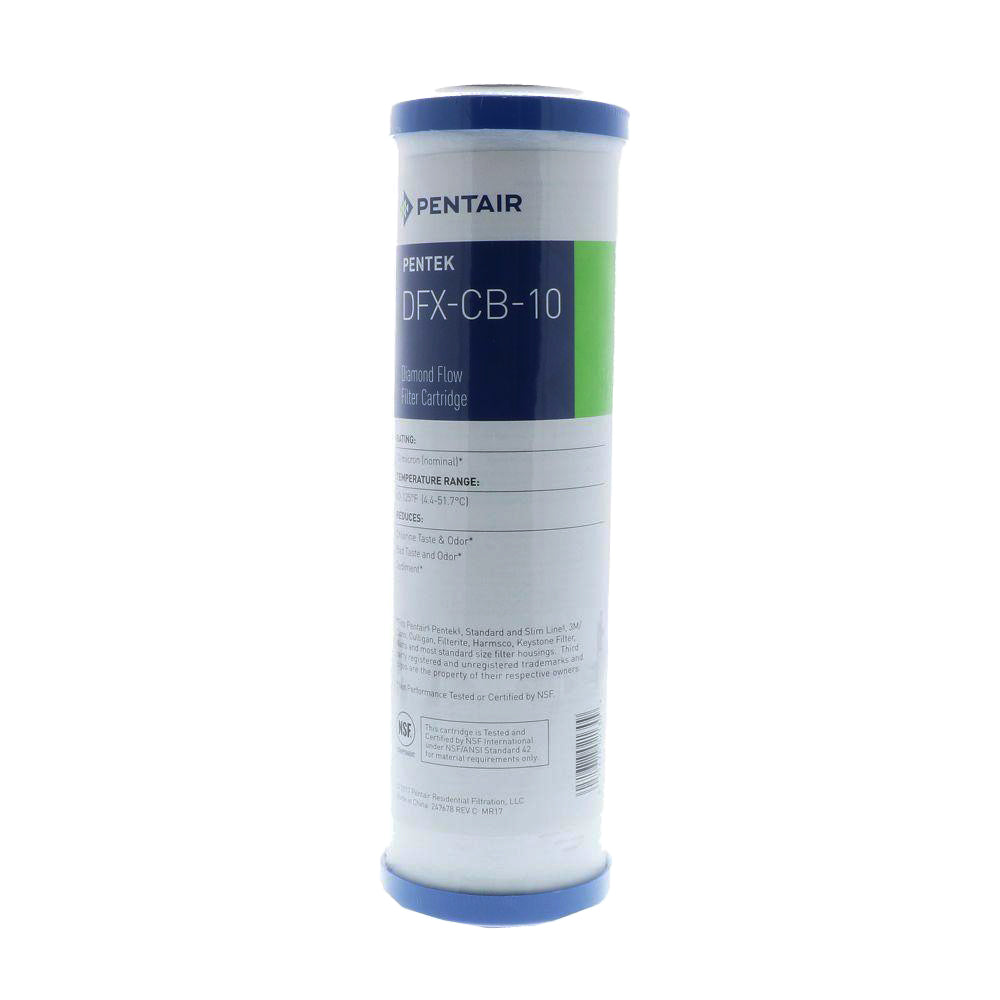 Pentair Diamond Flow Replacement Filter DFX-CB-10