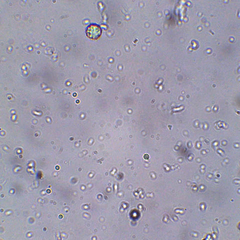 The Hidden Contaminants in Your Tap Water (And What You’re Really Drinking)