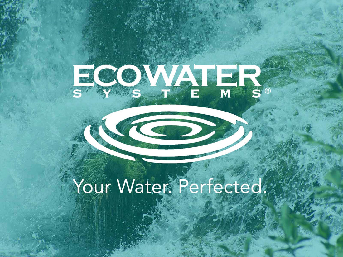 The Hidden Benefits of EcoWater Systems Whole-Home Water Filtration