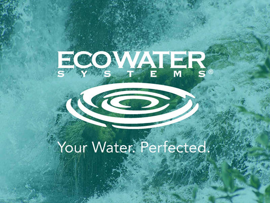 The Hidden Benefits of EcoWater Systems Whole-Home Water Filtration