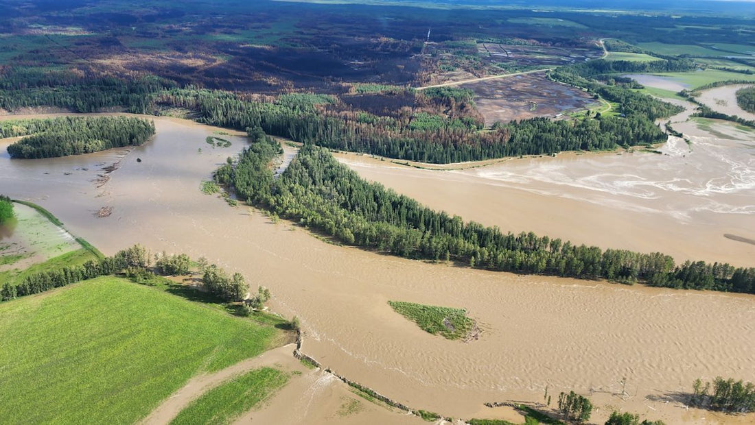 After a Wildfire: How Water Filtration Can Help Restore Cleaner Water at Home