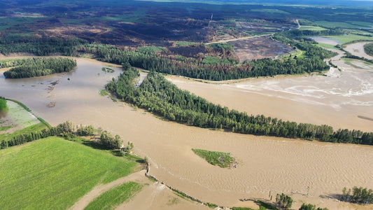 After a Wildfire: How Water Filtration Can Help Restore Cleaner Water at Home