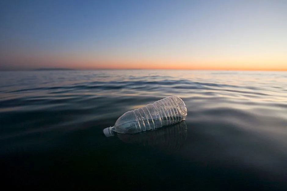 The Environmental Impact of Choosing Filtered Water