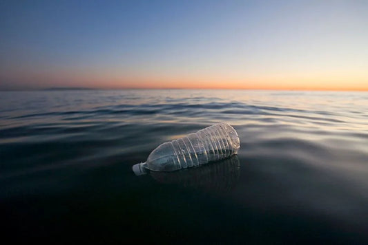 The Environmental Impact of Choosing Filtered Water