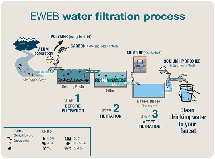 Reverse Osmosis vs. Carbon Filters: Which One Is Right for Your Home?