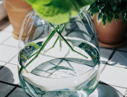 The Link Between Hydration & Mental Health