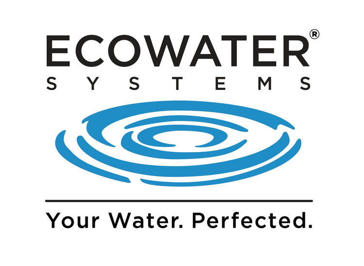 ecowater filtration systems