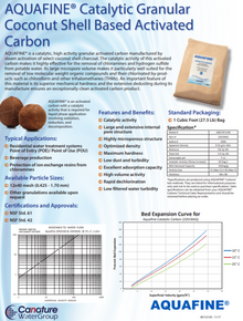 catalytic carbon