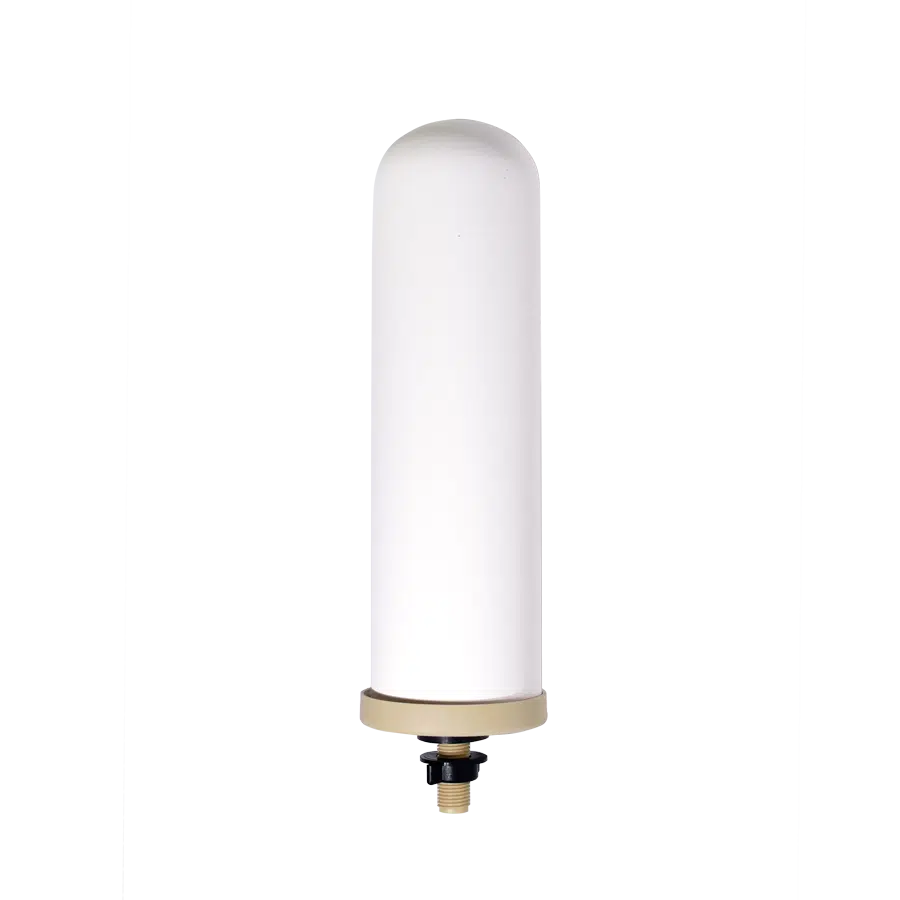 ProOne G3.0 - 9″ Filter Element