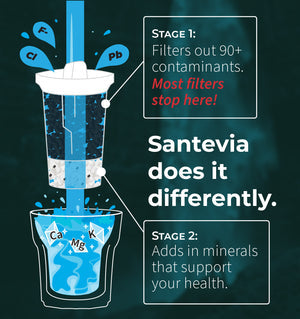 Santevia MINA Fluoride Pitcher Filter (3 Pack)