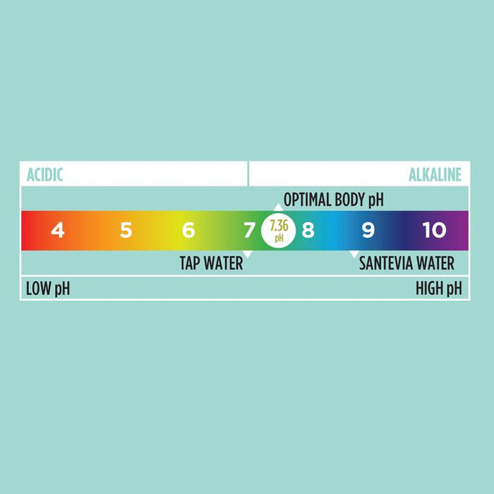 Santevia pH Testing Kit